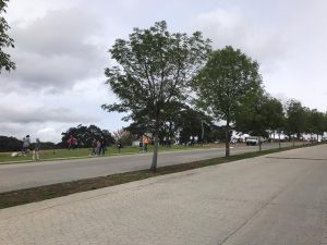 WhatsApp Image 2020-08-08 at 2.02.12 PM (6)